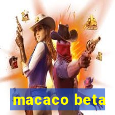 macaco beta