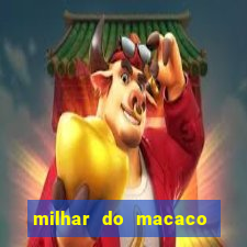 milhar do macaco que mais saem no jogo do bicho