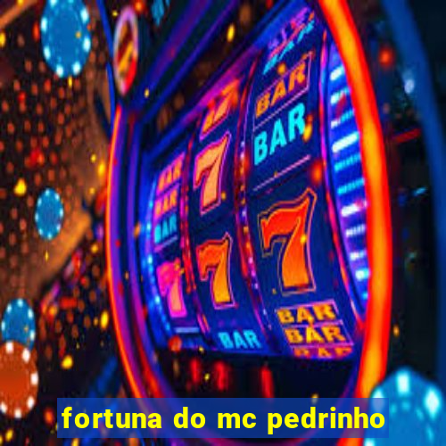 fortuna do mc pedrinho