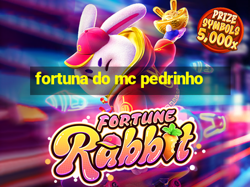 fortuna do mc pedrinho