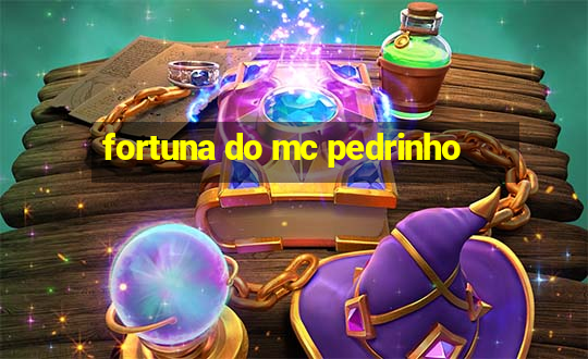 fortuna do mc pedrinho