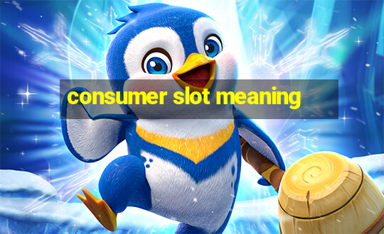 consumer slot meaning