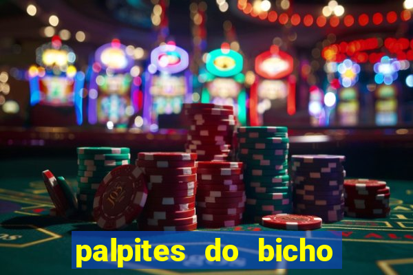 palpites do bicho no celular