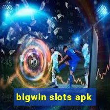 bigwin slots apk