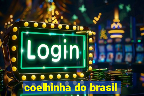 coelhinha do brasil