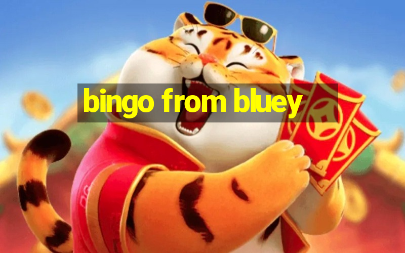 bingo from bluey