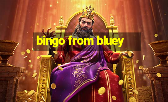 bingo from bluey