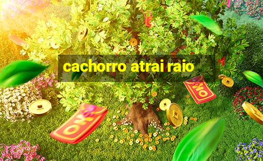 cachorro atrai raio