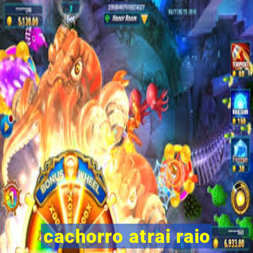 cachorro atrai raio