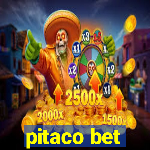 pitaco bet