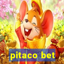 pitaco bet