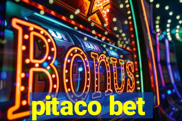 pitaco bet