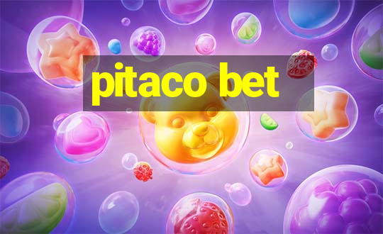 pitaco bet