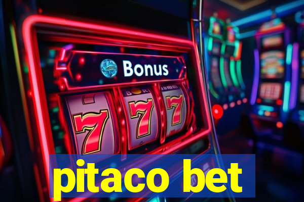 pitaco bet