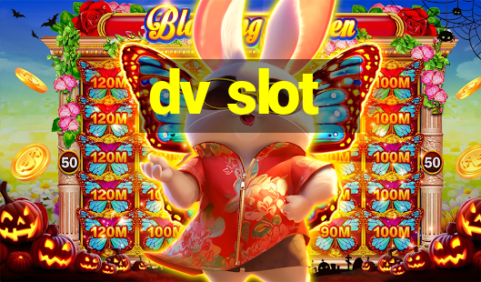 dv slot