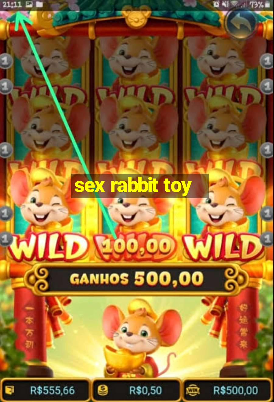 sex rabbit toy