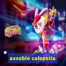 assobio calopsita