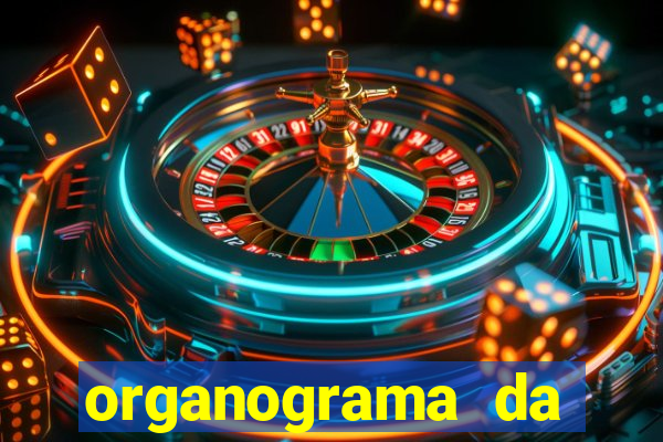 organograma da cacau show