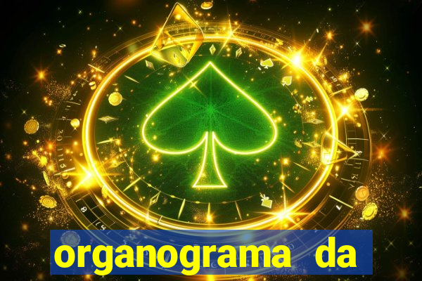 organograma da cacau show