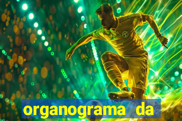 organograma da cacau show