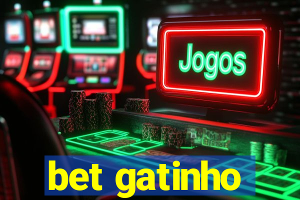 bet gatinho