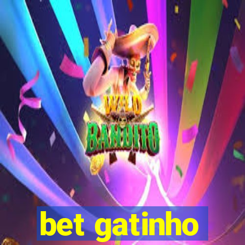 bet gatinho