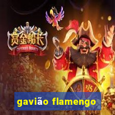 gavião flamengo