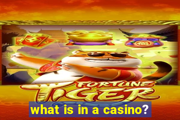 what is in a casino?