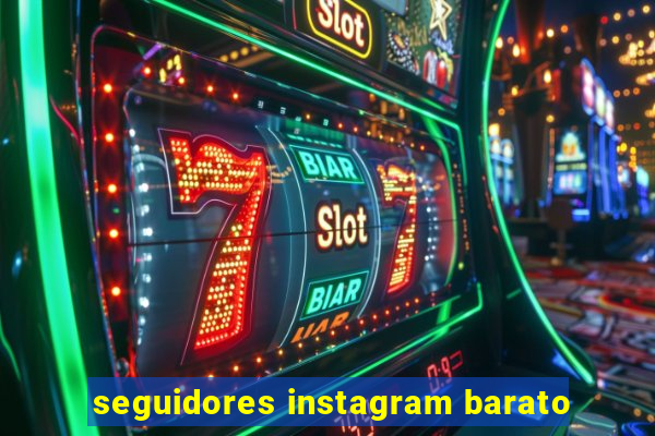 seguidores instagram barato