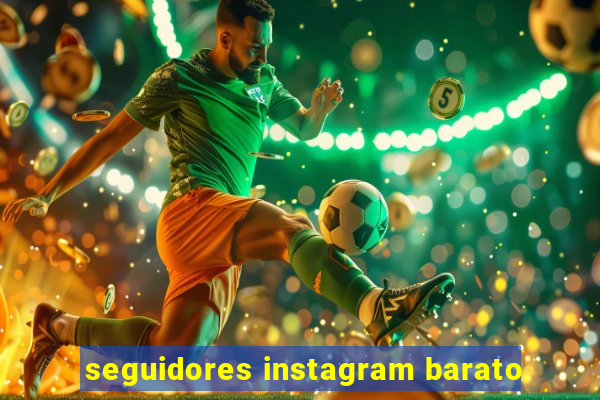 seguidores instagram barato