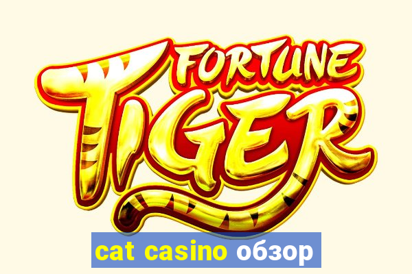 cat casino обзор