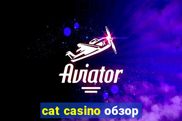 cat casino обзор