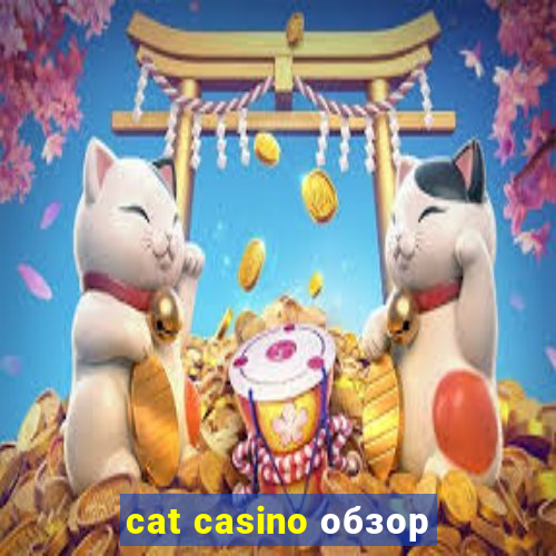 cat casino обзор