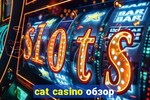 cat casino обзор