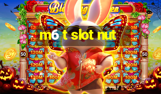 m6 t slot nut