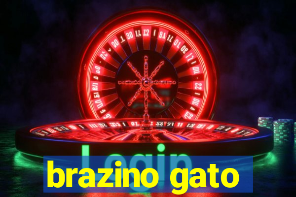 brazino gato