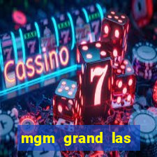 mgm grand las vegas hotel and casino