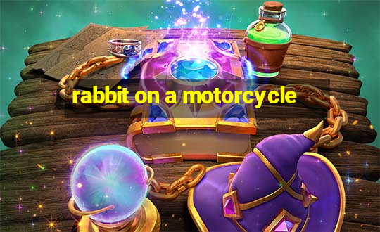 rabbit on a motorcycle