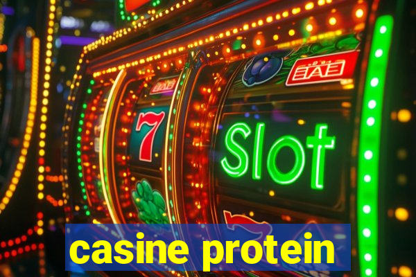 casine protein