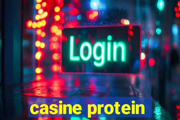 casine protein