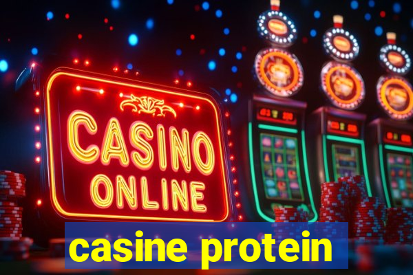 casine protein