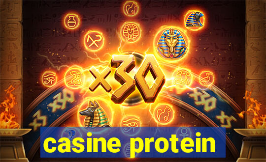 casine protein