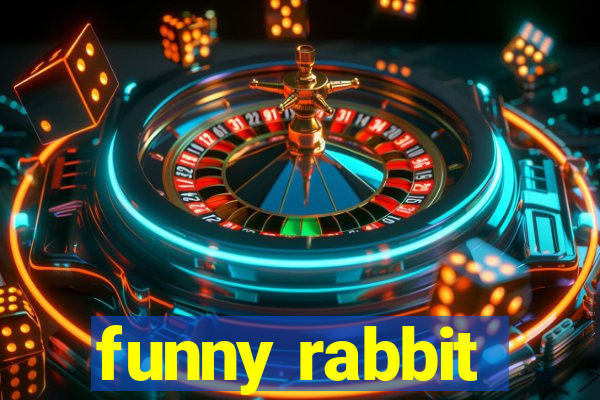 funny rabbit