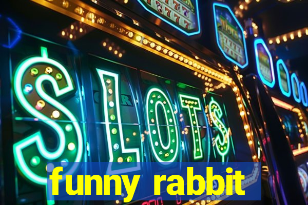 funny rabbit