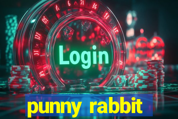 punny rabbit