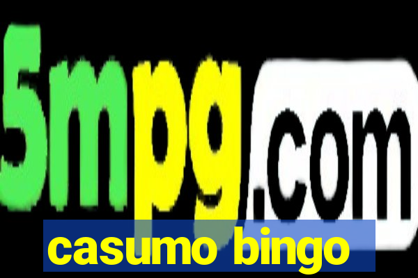 casumo bingo