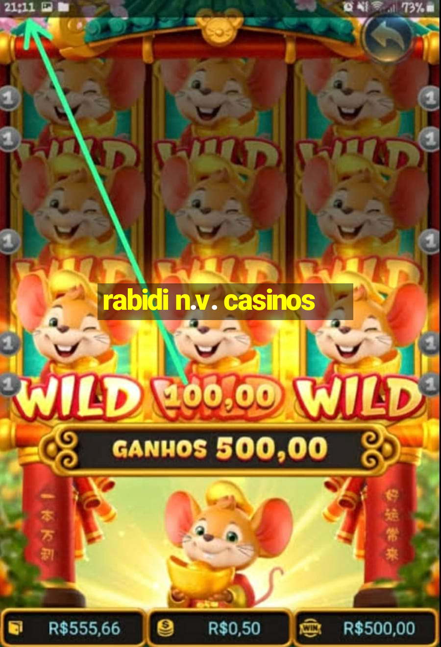 rabidi n.v. casinos