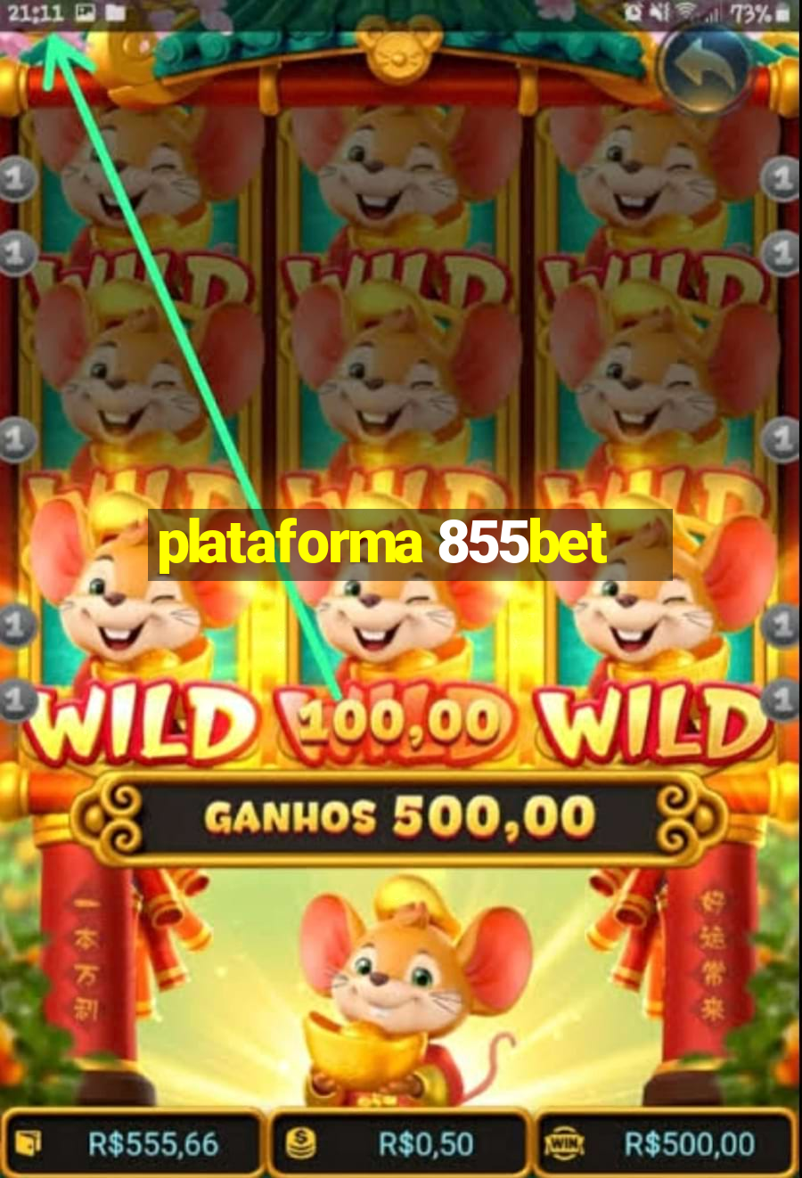 plataforma 855bet