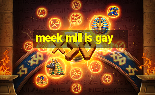 meek mill is gay