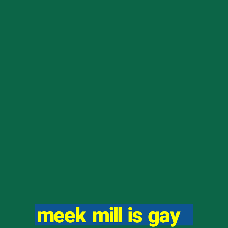 meek mill is gay